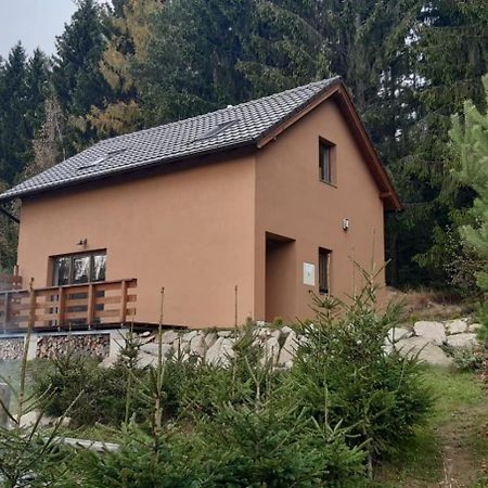 Chata Ostruzina 9 Lipno nad Vltavou Bagian luar foto