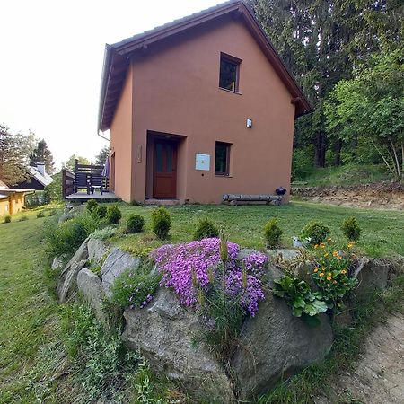 Chata Ostruzina 9 Lipno nad Vltavou Bagian luar foto